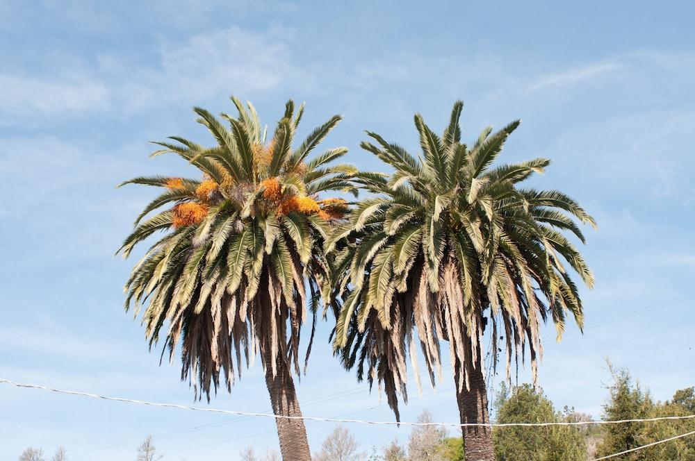 Cambria Palms Motel Exterior foto