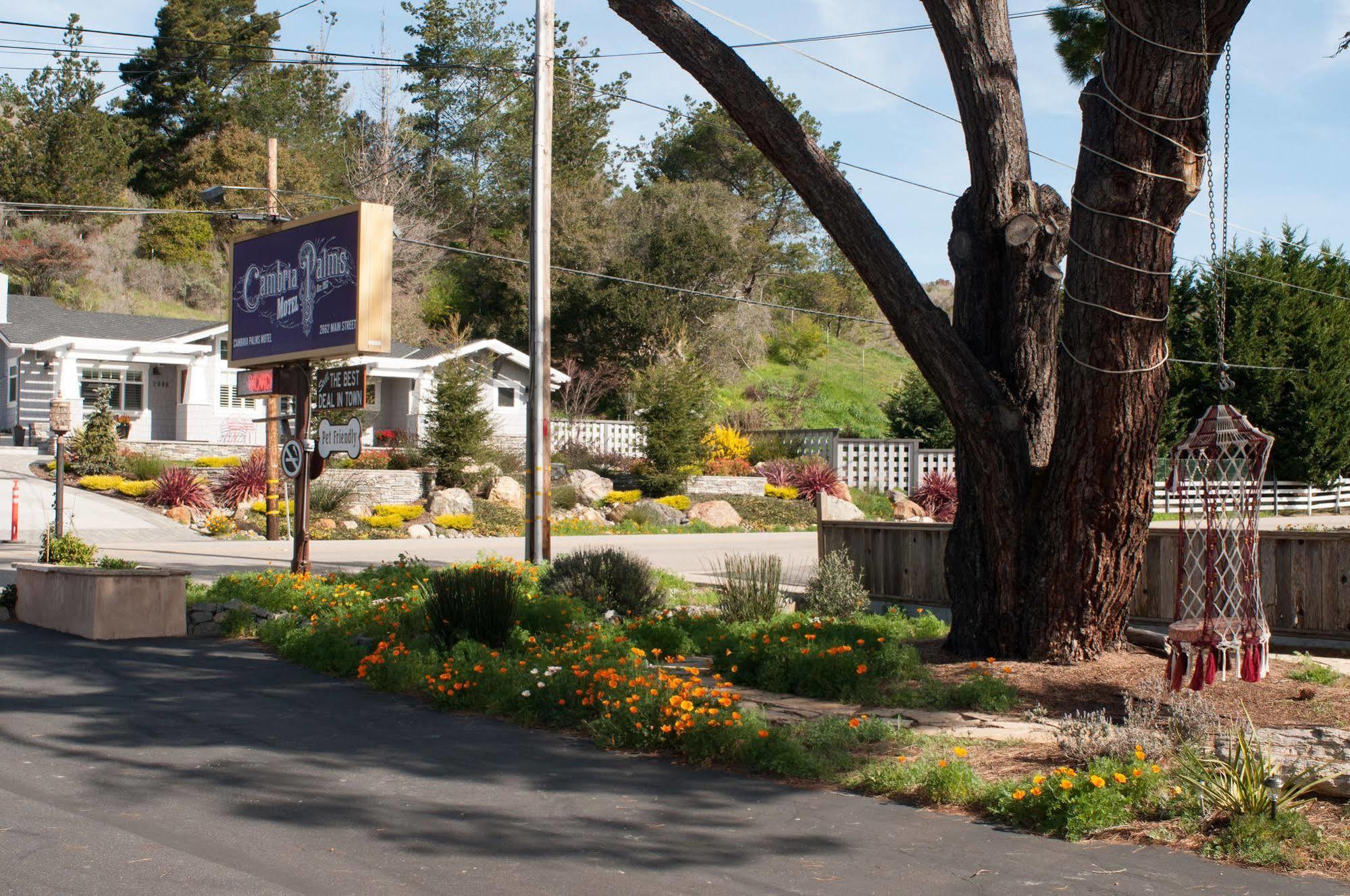 Cambria Palms Motel Exterior foto